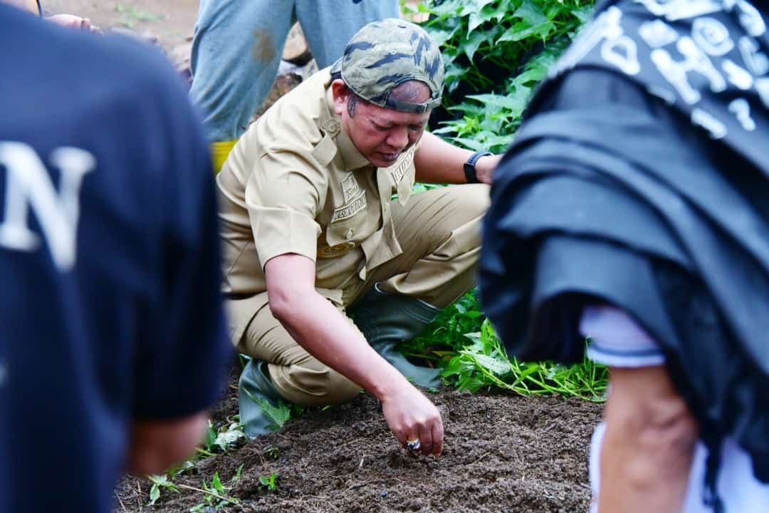 Bupati Soppeng Kunjungi Desa Umpungeng Dalam Rangka Penanaman Wortel dan Kentang Varietas Granola (G2)