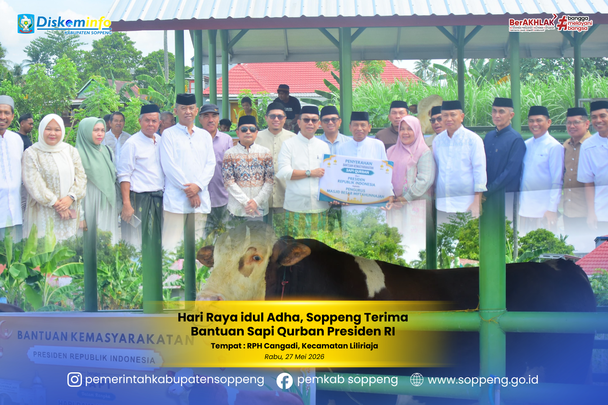 Hari Raya Idul Adha, Soppeng Terima Bantuan Sapi Qurban Presiden RI